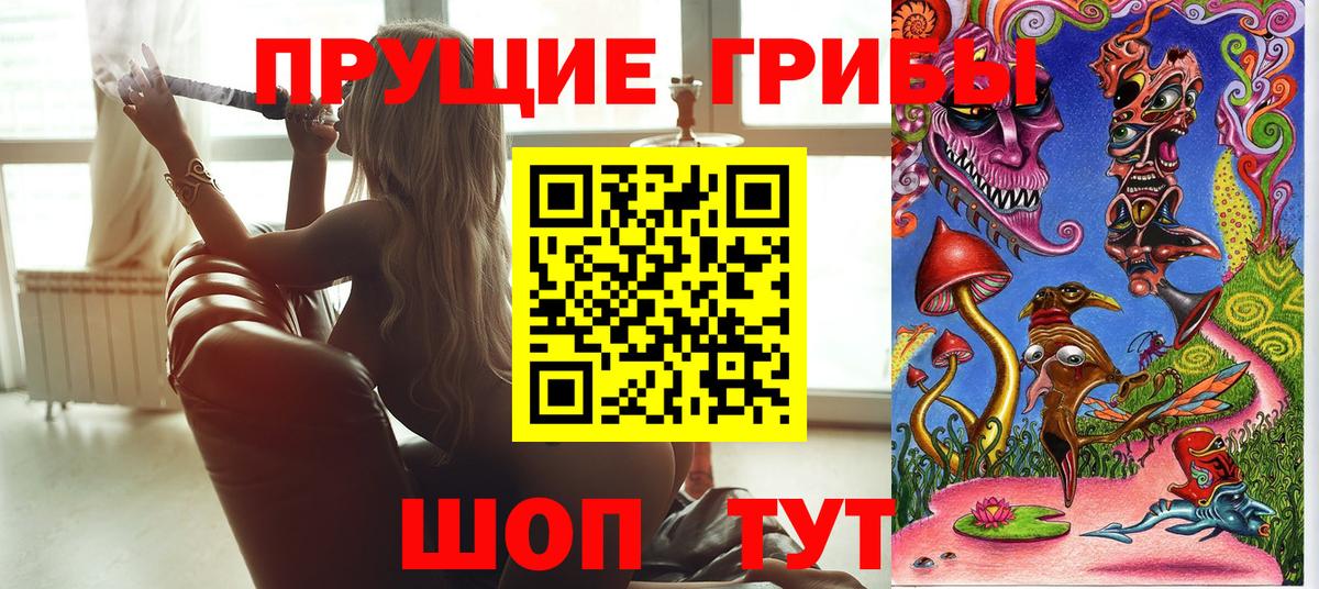 Псилоцибиновые грибы прущие грибы Домодедово
