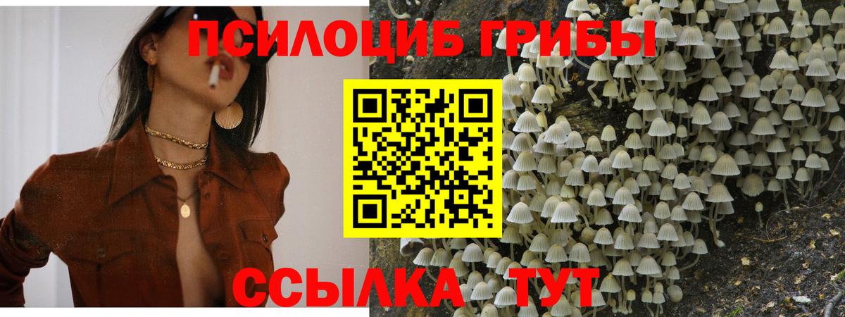 купить наркоту  Вход с VPN  Домодедово  Галлюциногенные грибы MAGIC MUSHROOMS 